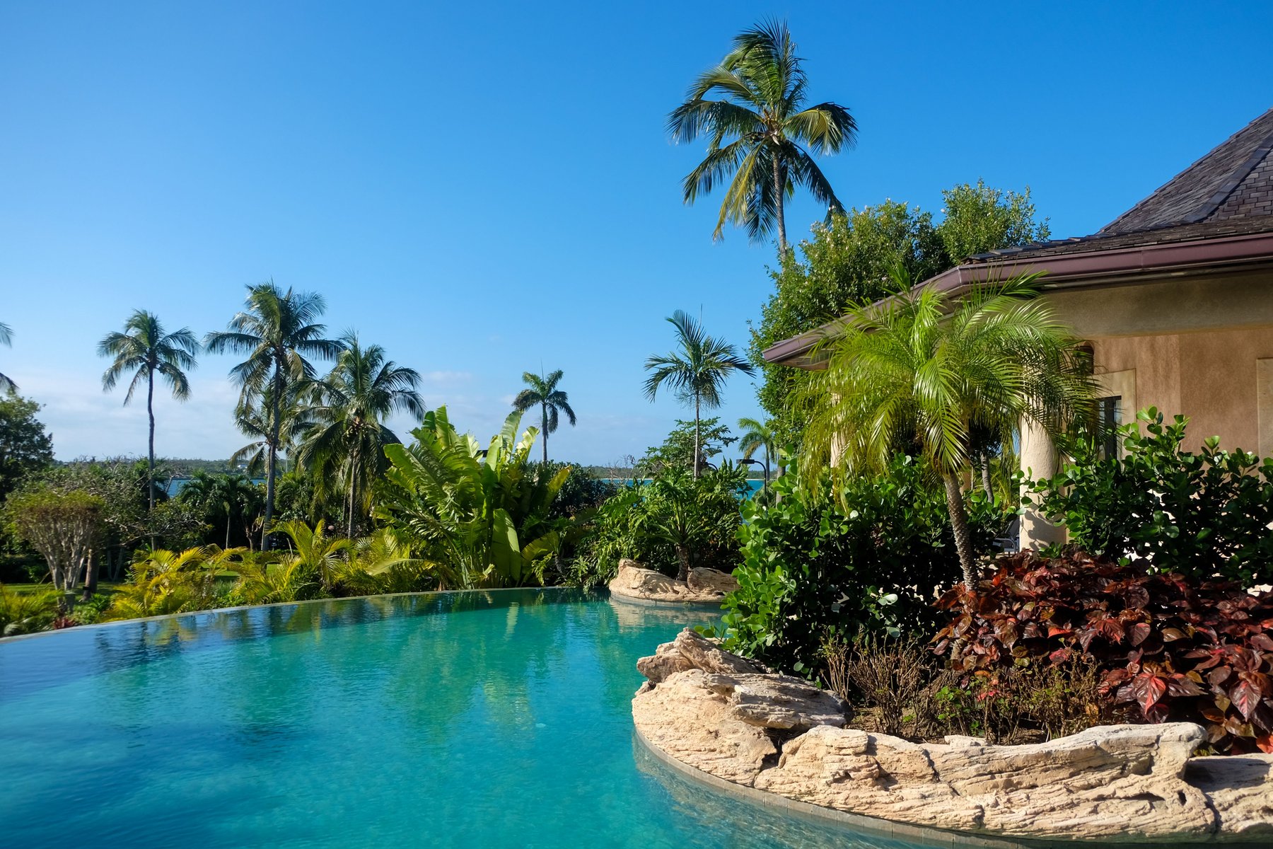 Private residential pool in a landscaped yard